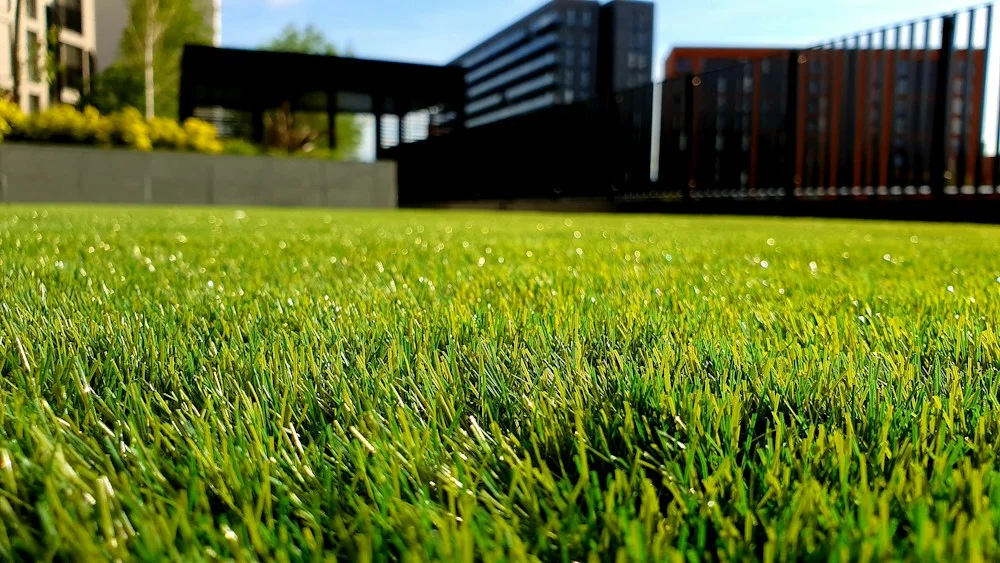 Freshly maintained lawn and landscaping outside a modern home